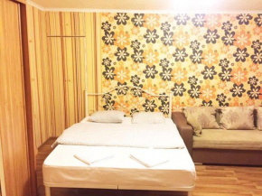 Apartment Inzhir na Novoselov 5